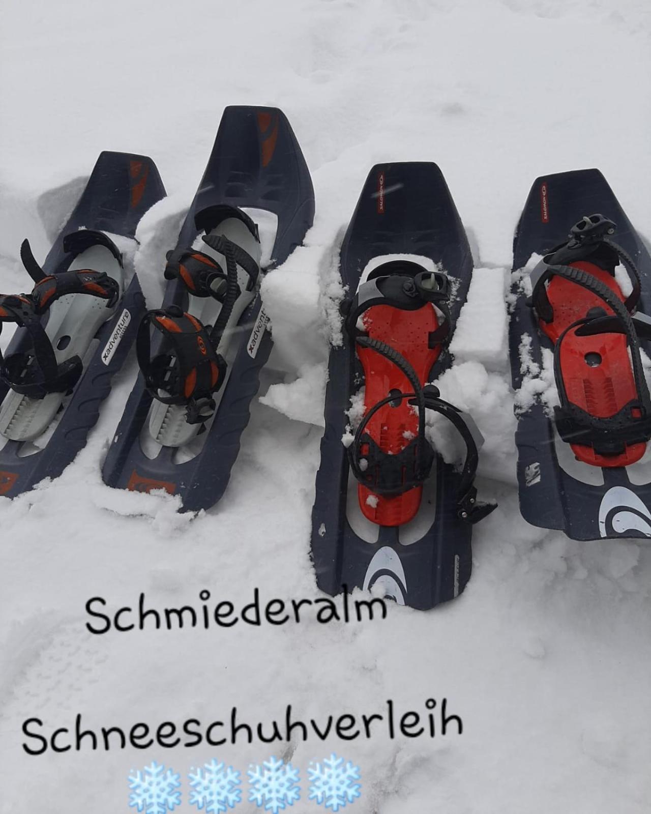 Gasthof Schmiederalm Aldino Ngoại thất bức ảnh