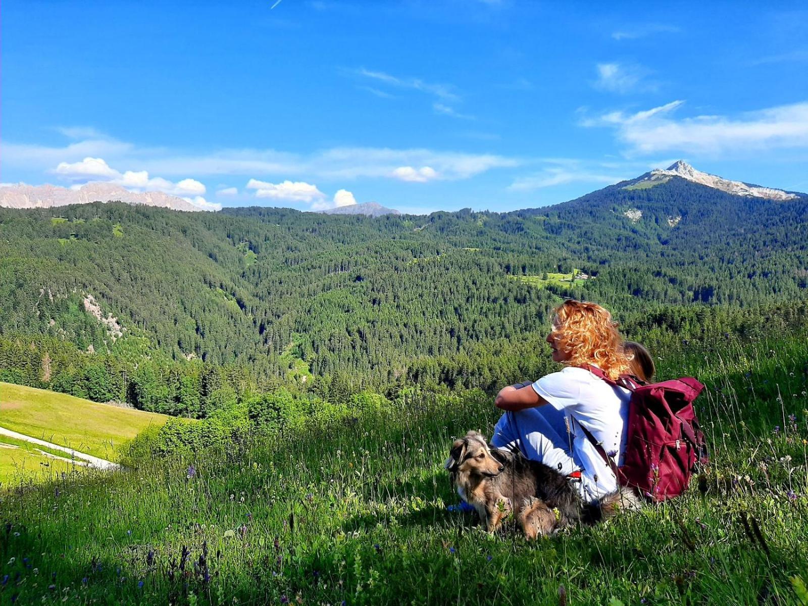 Gasthof Schmiederalm Aldino Ngoại thất bức ảnh